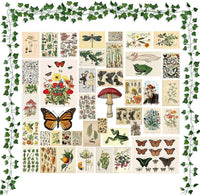BeYumi 45Pcs Vintage Botanical Wall Collage Aesthetic with Fake Vines Small Poster Photo Dorm Trendy Cottagecore Wall Art Print Colorful Pictures Collage Retro Room Bedroom Decor for Teens Boys Girls